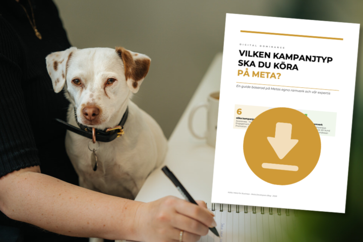 Kampanjval Meta bild